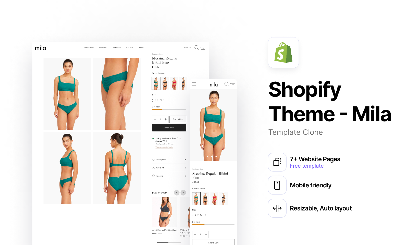 Branded Shopify Store Design
